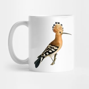 Hoopoe Mug